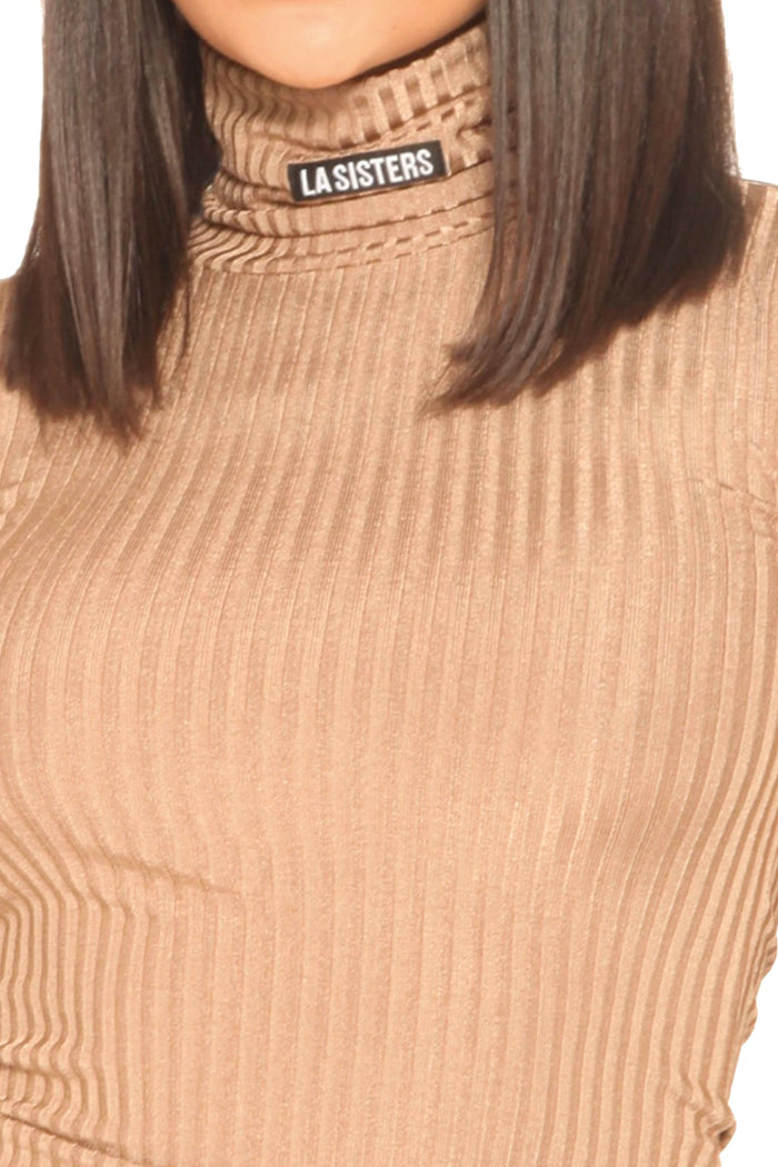 Ribbed Logo Turtle Neck Top Beige